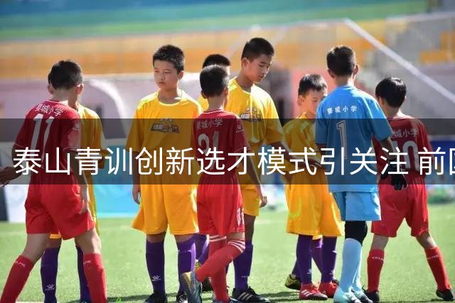 泰山青训创新选才模式引关注 前国脚韩鹏亲自把关少儿足球苗子