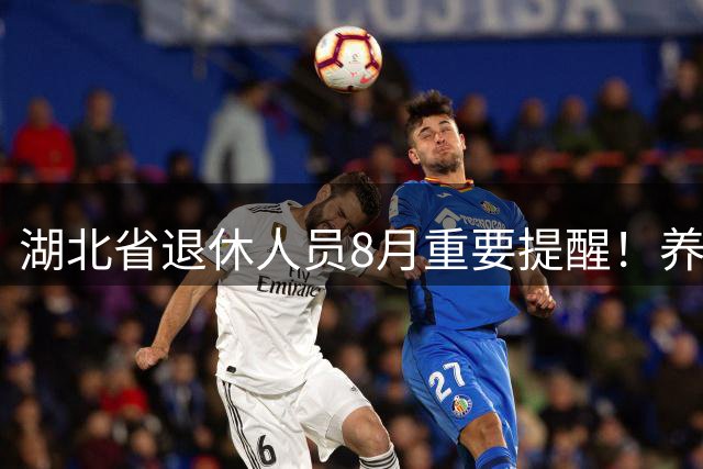 湖北省退休人员8月重要提醒！养老金两件关键事，认准官方信息